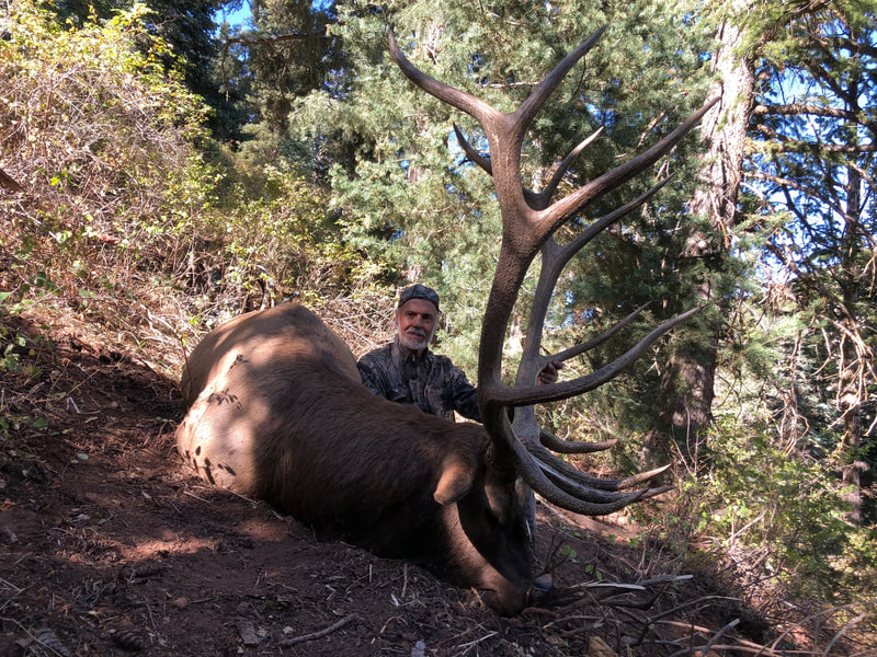 wade lemon mossback hightop southern utah guide guiding mule deer outfitters fnh utah dutton paunsagaunt panguitch bull elk turkey elk guiding guides fnh f-n-h outfitters