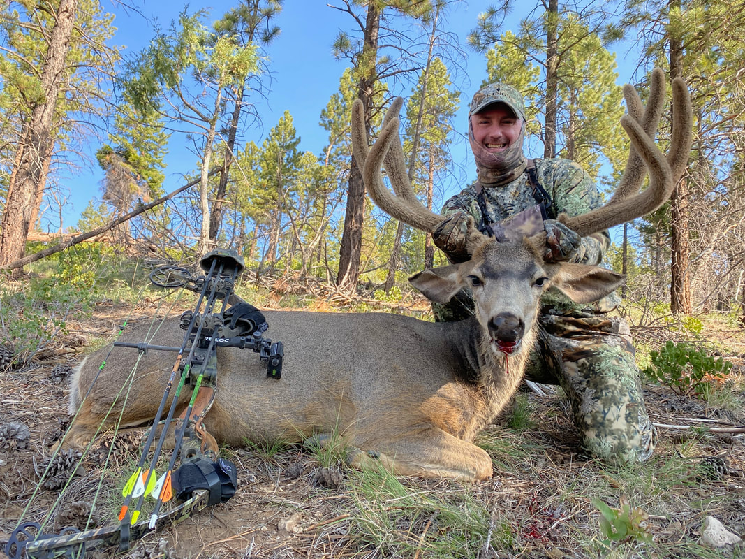 high top mossback lemon wade southern utah guide guiding mule deer outfitters fnh utah dutton paunsagaunt panguitch bull elk turkey elk guiding guides fnh f-n-h outfitters